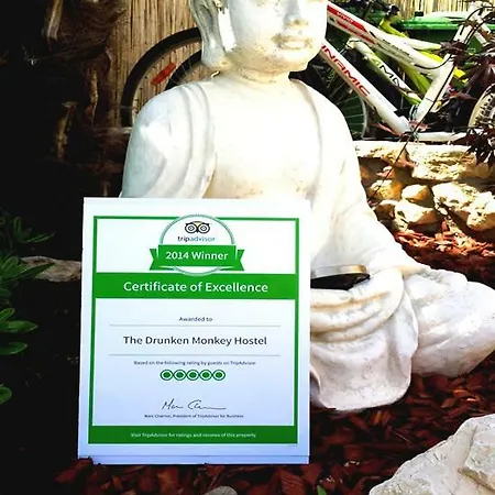 The Mellow Monkey Hostel