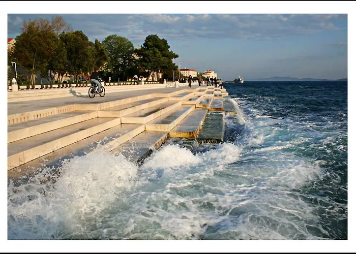 The Mellow Monkey ホステル