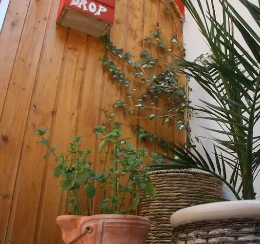 ホステル The Mellow Monkey ザダル