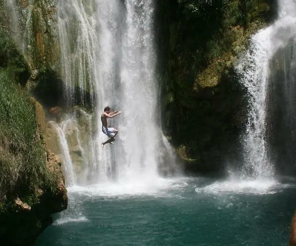 The Mellow Monkey ホステル ザダル