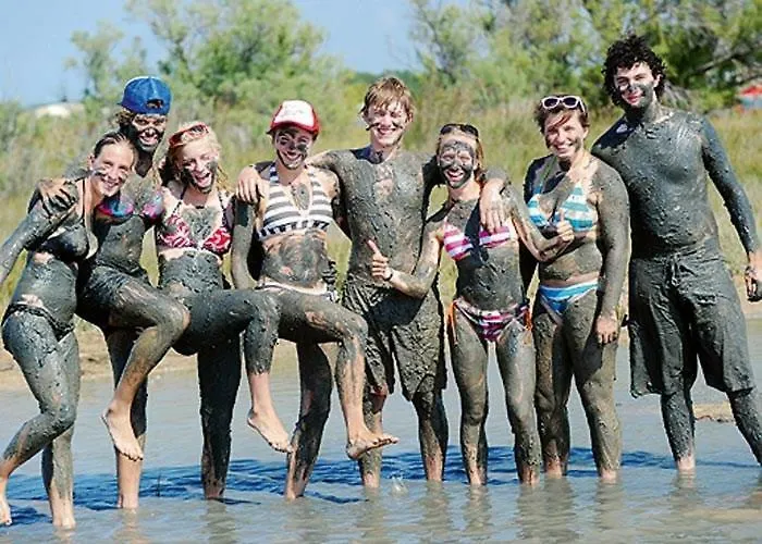 ホステル The Mellow Monkey