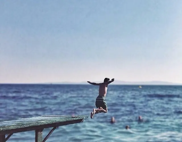 The Mellow Monkey ホステル