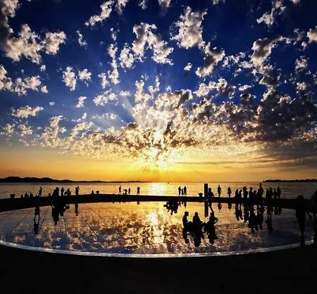 Hostel The Mellow Monkey