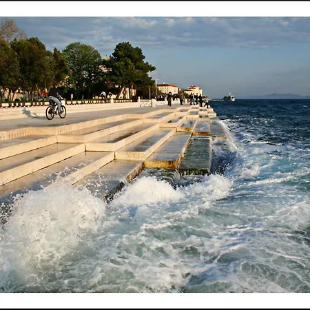 The Mellow Monkey Hostel