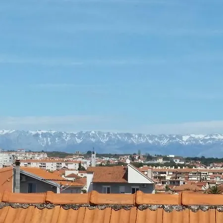 Hostel The Mellow Monkey *