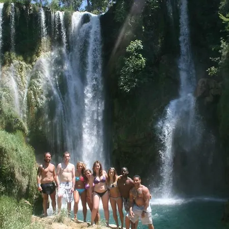 The Mellow Monkey * Zára