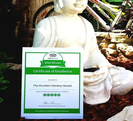 The Mellow Monkey Hostel