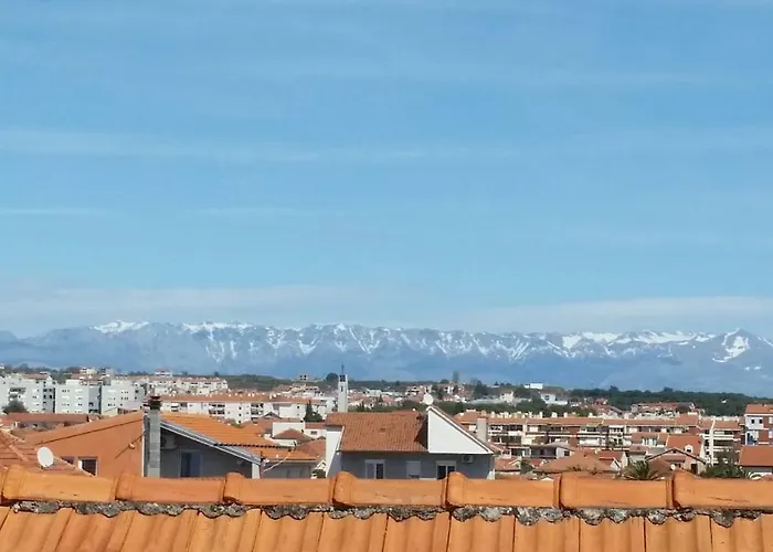 Hostel The Mellow Monkey *