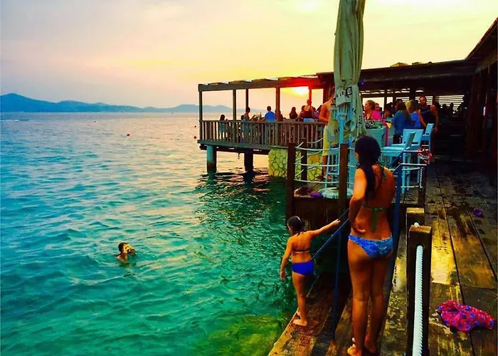 The Mellow Monkey * Zadar